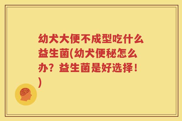 幼犬大便不成型吃什么益生菌(幼犬便秘怎么办？益生菌是好选择！)
