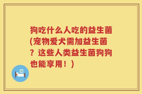 狗吃什么人吃的益生菌(宠物爱犬需加益生菌？这些人类益生菌狗狗也能享用！)