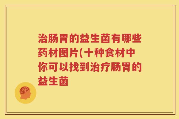 治肠胃的益生菌有哪些药材图片(十种食材中你可以找到治疗肠胃的益生菌