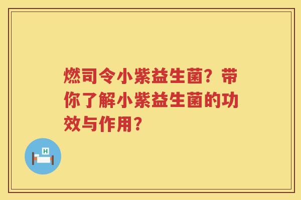 燃司令小紫益生菌？带你了解小紫益生菌的功效与作用？