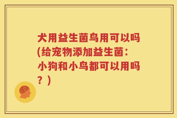 犬用益生菌鸟用可以吗(给宠物添加益生菌：小狗和小鸟都可以用吗？)