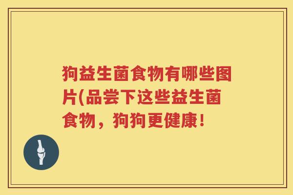狗益生菌食物有哪些图片(品尝下这些益生菌食物，狗狗更健康！