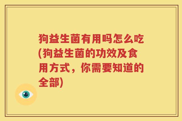 狗益生菌有用吗怎么吃(狗益生菌的功效及食用方式，你需要知道的全部)