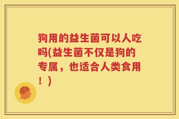 狗用的益生菌可以人吃吗(益生菌不仅是狗的专属，也适合人类食用！)