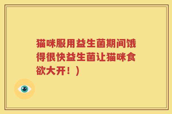 猫咪服用益生菌期间饿得很快益生菌让猫咪食欲大开！)