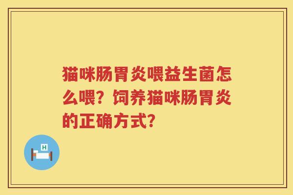 猫咪肠胃炎喂益生菌怎么喂？饲养猫咪肠胃炎的正确方式？