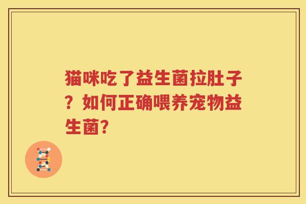 猫咪吃了益生菌拉肚子？如何正确喂养宠物益生菌？