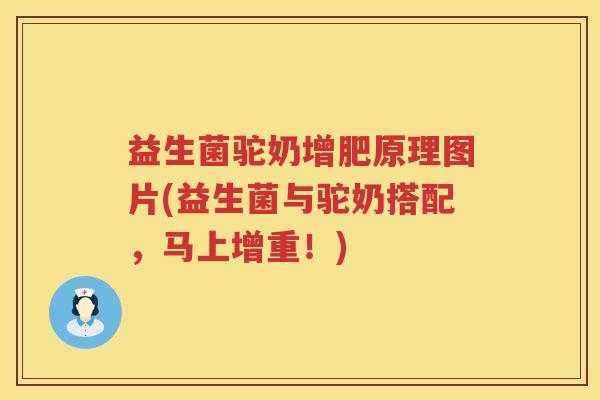 益生菌驼奶增肥原理图片(益生菌与驼奶搭配，马上增重！)