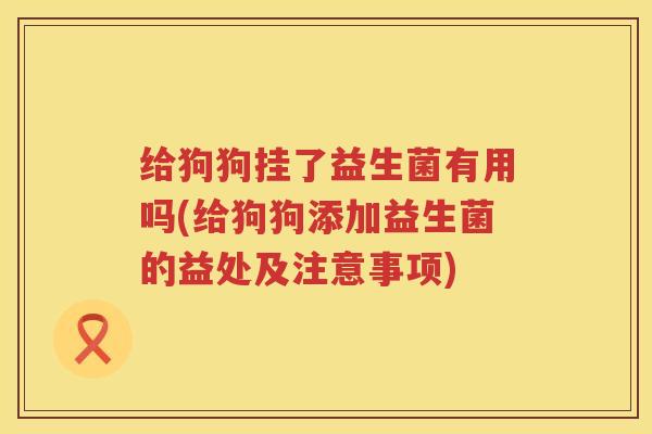 给狗狗挂了益生菌有用吗(给狗狗添加益生菌的益处及注意事项)