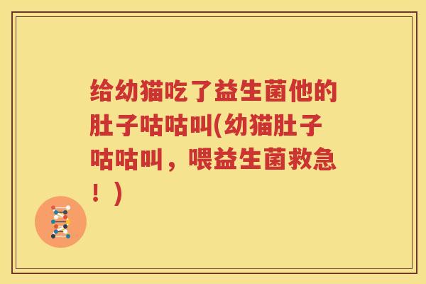 给幼猫吃了益生菌他的肚子咕咕叫(幼猫肚子咕咕叫，喂益生菌救急！)