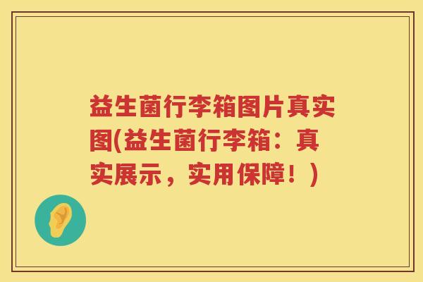 益生菌行李箱图片真实图(益生菌行李箱：真实展示，实用保障！)