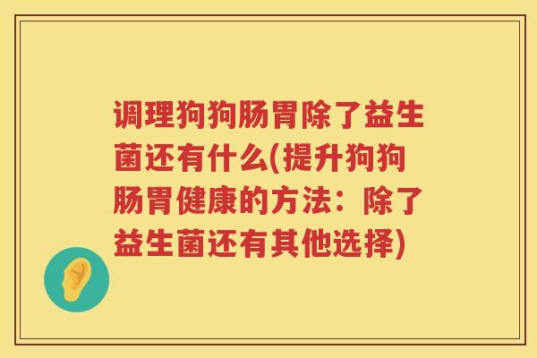 调理狗狗肠胃除了益生菌还有什么(提升狗狗肠胃健康的方法：除了益生菌还有其他选择)