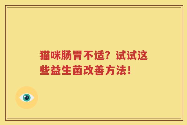 猫咪肠胃不适？试试这些益生菌改善方法！