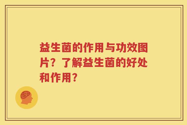 益生菌的作用与功效图片？了解益生菌的好处和作用？