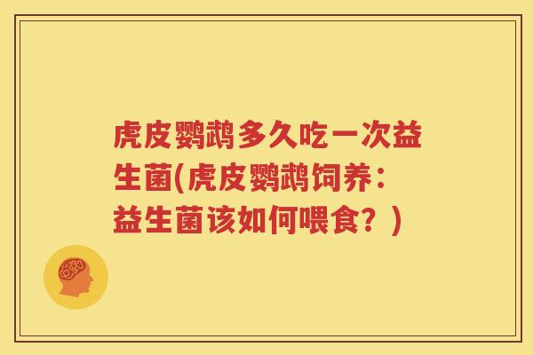 虎皮鹦鹉多久吃一次益生菌(虎皮鹦鹉饲养：益生菌该如何喂食？)