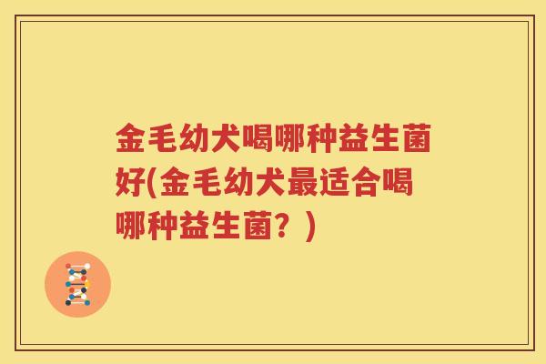 金毛幼犬喝哪种益生菌好(金毛幼犬最适合喝哪种益生菌？)