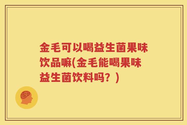 金毛可以喝益生菌果味饮品嘛(金毛能喝果味益生菌饮料吗？)