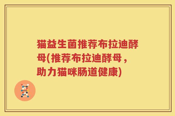 猫益生菌推荐布拉迪酵母(推荐布拉迪酵母，助力猫咪肠道健康)