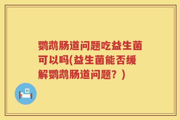 鹦鹉肠道问题吃益生菌可以吗(益生菌能否缓解鹦鹉肠道问题？)