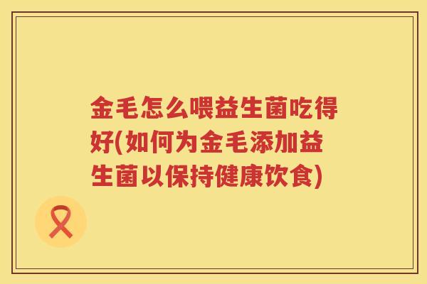 金毛怎么喂益生菌吃得好(如何为金毛添加益生菌以保持健康饮食)