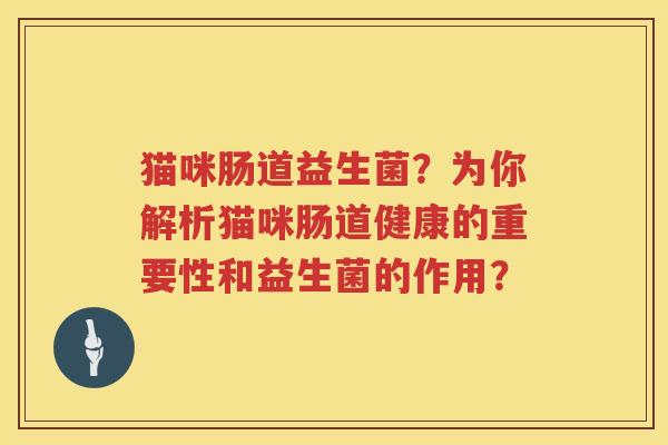 猫咪肠道益生菌？为你解析猫咪肠道健康的重要性和益生菌的作用？