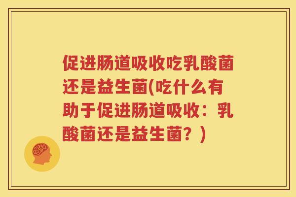 促进肠道吸收吃乳酸菌还是益生菌(吃什么有助于促进肠道吸收：乳酸菌还是益生菌？)