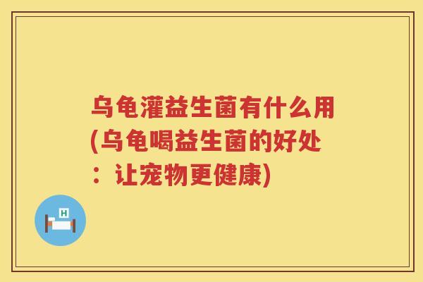 乌龟灌益生菌有什么用(乌龟喝益生菌的好处：让宠物更健康)