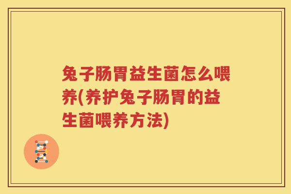 兔子肠胃益生菌怎么喂养(养护兔子肠胃的益生菌喂养方法)