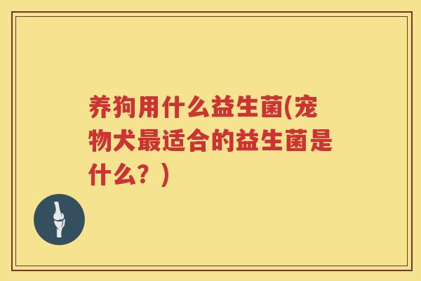 养狗用什么益生菌(宠物犬最适合的益生菌是什么？)