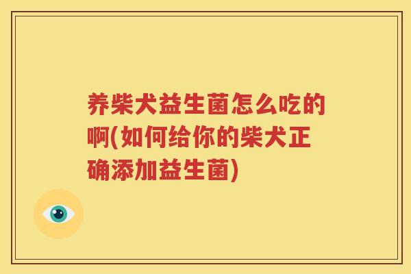 养柴犬益生菌怎么吃的啊(如何给你的柴犬正确添加益生菌)