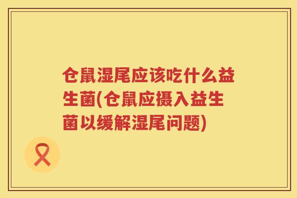 仓鼠湿尾应该吃什么益生菌(仓鼠应摄入益生菌以缓解湿尾问题)