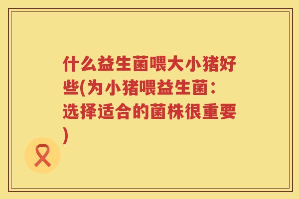 什么益生菌喂大小猪好些(为小猪喂益生菌：选择适合的菌株很重要)