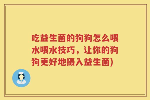 吃益生菌的狗狗怎么喂水喂水技巧，让你的狗狗更好地摄入益生菌)