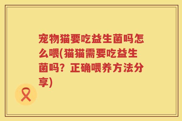 宠物猫要吃益生菌吗怎么喂(猫猫需要吃益生菌吗？正确喂养方法分享)
