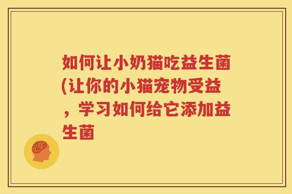 如何让小奶猫吃益生菌(让你的小猫宠物受益，学习如何给它添加益生菌