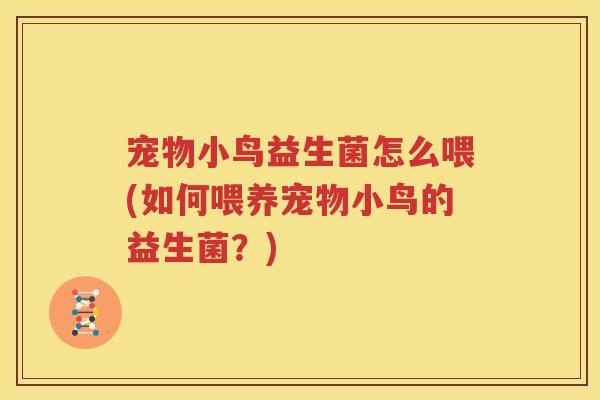 宠物小鸟益生菌怎么喂(如何喂养宠物小鸟的益生菌？)