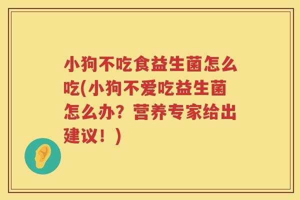 小狗不吃食益生菌怎么吃(小狗不爱吃益生菌怎么办？营养专家给出建议！)