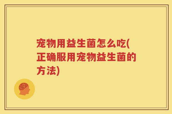 宠物用益生菌怎么吃(正确服用宠物益生菌的方法)