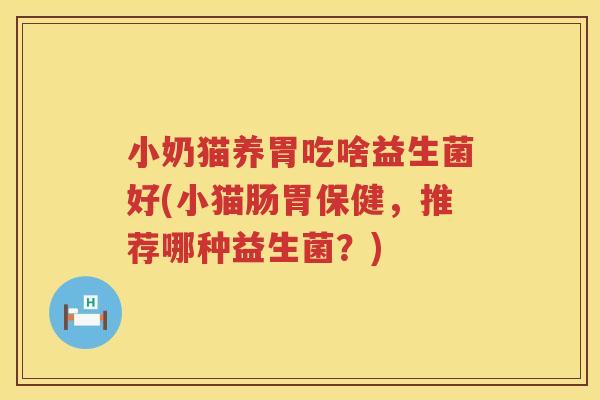小奶猫养胃吃啥益生菌好(小猫肠胃保健，推荐哪种益生菌？)