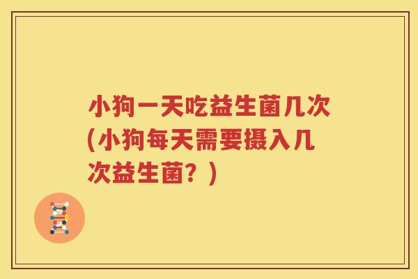 小狗一天吃益生菌几次(小狗每天需要摄入几次益生菌？)