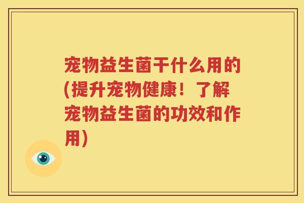 宠物益生菌干什么用的(提升宠物健康！了解宠物益生菌的功效和作用)