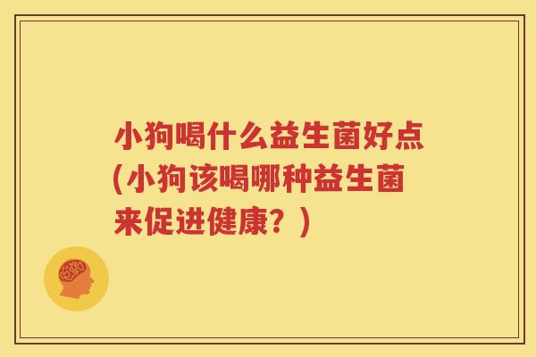 小狗喝什么益生菌好点(小狗该喝哪种益生菌来促进健康？)