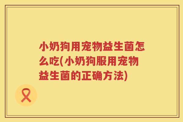 小奶狗用宠物益生菌怎么吃(小奶狗服用宠物益生菌的正确方法)