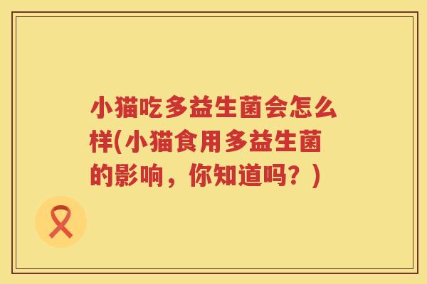 小猫吃多益生菌会怎么样(小猫食用多益生菌的影响，你知道吗？)
