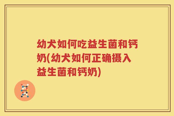 幼犬如何吃益生菌和钙奶(幼犬如何正确摄入益生菌和钙奶)