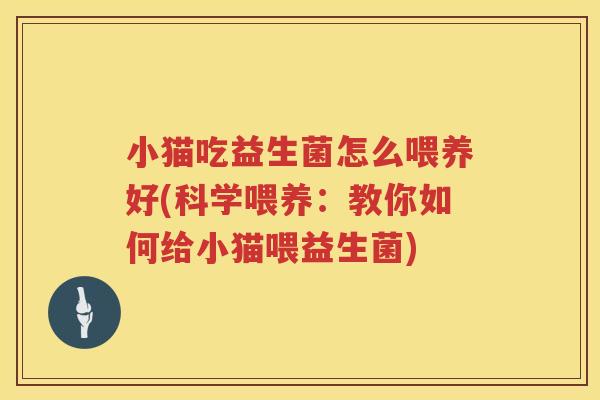 小猫吃益生菌怎么喂养好(科学喂养：教你如何给小猫喂益生菌)