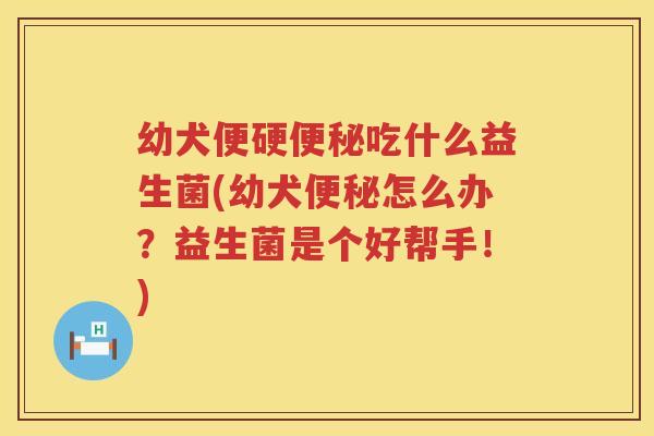 幼犬便硬便秘吃什么益生菌(幼犬便秘怎么办？益生菌是个好帮手！)