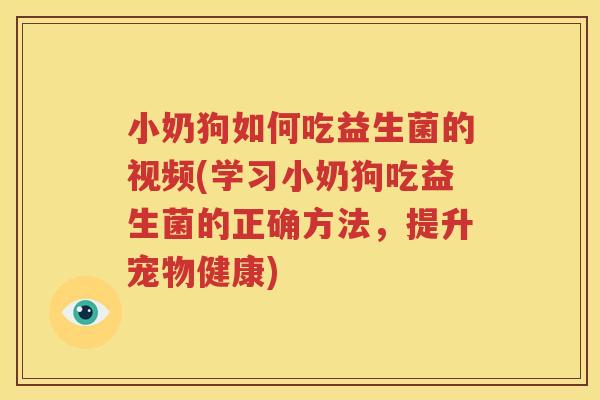 小奶狗如何吃益生菌的视频(学习小奶狗吃益生菌的正确方法，提升宠物健康)
