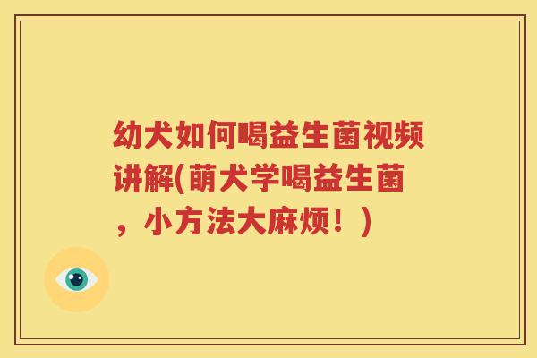 幼犬如何喝益生菌视频讲解(萌犬学喝益生菌，小方法大麻烦！)