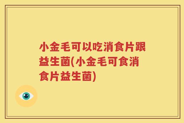 小金毛可以吃消食片跟益生菌(小金毛可食消食片益生菌)